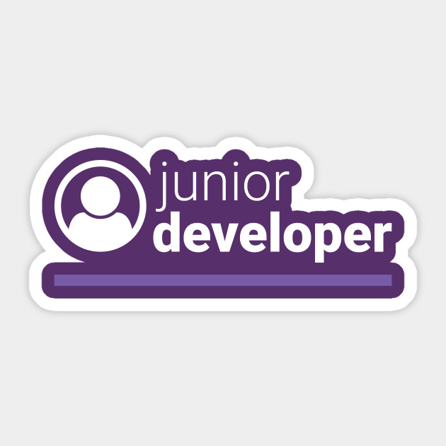 Junior Developer là gì? Điều kiện đạt chuẩn và yêu cầu công việc